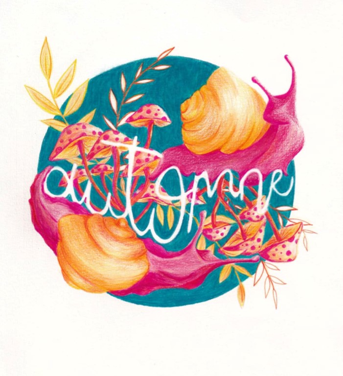 automne-illustration-saison-autumn